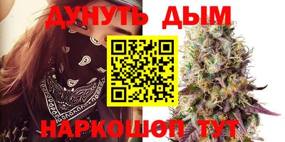 альфа пвп Новокубанск