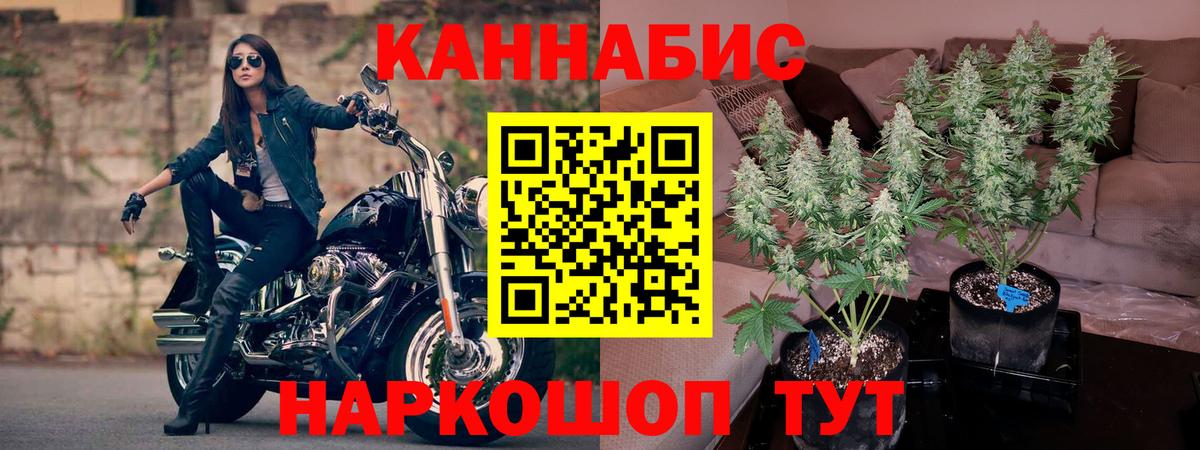 Шишки марихуана индика Азов